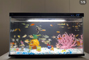 米家智能生態(tài)魚(yú)缸還原自然生態(tài) 智能魚(yú)缸+濾芯套裝 曬單實(shí)拍圖