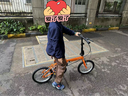 大行（DAHON）KT610折疊自行車(chē)16英寸城市通勤迷你成人男女學(xué)生小輪單車(chē) 橙色 曬單實(shí)拍圖