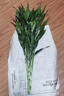 【富貴竹】廣州發(fā)貨水培植物好養懶人節節高供佛辦公室內禮物七夕 富貴竹70cm10支 曬單實(shí)拍圖