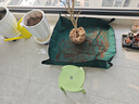 史丹利地墊換土墊種花防水防刮花墊花盆換盆栽花拌土墊子100cm*100cm 曬單實(shí)拍圖