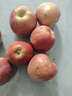 甘肅天水花牛蘋(píng)果粉糯香甜寶寶老人輔食蛇果產(chǎn)地直發(fā)京東快遞上門(mén) 帶箱3斤60-70mm小果 曬單實(shí)拍圖
