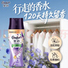 金紡【洗衣搭檔】洗衣留香珠薰衣草+香紫蘇200g情緒香氛精油120天留香 曬單實(shí)拍圖