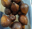 京地達印尼蛇皮果凈重1.7斤單果50g+記憶果小眾生鮮水果 源頭直發(fā)包郵 曬單實(shí)拍圖