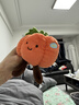 趣味卡通仿真生態(tài)蔬菜系列公仔大蒜玉米桌面擺件創(chuàng  )意玩偶送女友 南瓜 約10-17cm左右【正版授權】 曬單實(shí)拍圖