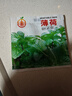 四季食用紫蘇種子薄荷種子細葉苦苣種子家庭四季陽(yáng)臺種植盆栽驅蚊 驅蚊食用薄荷家庭種約1000粒1包 曬單實(shí)拍圖