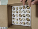 鮮鵪鶉蛋新鮮現撿現發(fā)營(yíng)養輔食破損包賠生鮮買(mǎi)菜早餐超市批發(fā)京東 營(yíng)養鵪鶉蛋50枚 曬單實(shí)拍圖