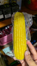 田里有草有機黃糯玉米 9.6斤 24根 有機玉米營(yíng)養健康真空袋裝非轉基因 曬單實(shí)拍圖