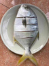翔泰海南金鯧魚(yú)凈重900g2條裝 魚(yú)類(lèi)生鮮 海鮮水產(chǎn) 【熱賣(mài)款】 曬單實(shí)拍圖