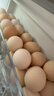 溫潤食品五谷鮮雞蛋 30枚/3斤 谷物喂養 健康輕食 無(wú)抗生素 京東自營(yíng) 曬單實(shí)拍圖