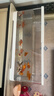 獨寵你魚(yú)缸小型客廳生態(tài)造景過(guò)濾制氧一體缸桌面金魚(yú)缸水族箱大號白色 曬單實(shí)拍圖