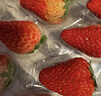 【產(chǎn)地直采】丹東紅顏草莓大果500g 單果18g+ 曬單實(shí)拍圖