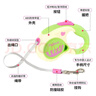 petlimit狗狗牽引繩自動(dòng)伸縮遛狗繩子中小型犬寵物用品牽狗鏈 青提色3米 曬單實(shí)拍圖