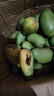 海南小臺農芒果10斤新鮮小臺芒當季特產(chǎn)水果現摘芒果大果【活動(dòng)】 單果80g+（帶箱8斤） 曬單實(shí)拍圖
