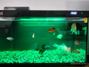 森森金麟超白智能魚(yú)缸小型桌面免換水生態(tài)魚(yú)缸一體缸自循環(huán) 【升級自動(dòng)喂食】480B 純黑尊享版+加熱棒 曬單實(shí)拍圖