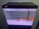 福路康超白玻璃免換水生態(tài)魚(yú)缸客廳小型水族箱落地金魚(yú)缸造景一體柜家用 黑色600魚(yú)缸+柜子(智能超白) 曬單實(shí)拍圖