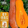 ldeal理想農業(yè) 蜜本老南瓜種子高產(chǎn)抗病雜交老品種南瓜籽蔬菜種子大全 曬單實(shí)拍圖