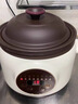 VITAMASQUES紫砂電燉鍋家用小型砂鍋煲湯養生燉湯鍋全自動(dòng)輔食陶瓷寶寶煮粥鍋 3.8L紫砂【智能預約】八大功能 滿(mǎn)足3-5人 曬單實(shí)拍圖