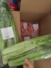 胡姬港灣農莊（OKIKI FARM）有機菜苔 新鮮現摘 約300克 曬單實(shí)拍圖