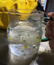 青蘋(píng)果 高顏值玻璃杯帶杯耐熱帶蓋帶把刻度水杯家用大容量杯子 喵語(yǔ)玻璃杯【含吸管和蓋子】600ml 曬單實(shí)拍圖