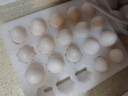 溫潤食品新鮮鴿子蛋 20枚/360g 雜糧喂養營(yíng)養鴿蛋寶寶孕婦放心吃 京東自營(yíng) 曬單實(shí)拍圖