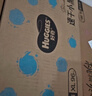 好奇（Huggies）金裝拉拉褲XXL74(15kg以上)尿不濕【速干不易紅】 曬單實(shí)拍圖
