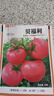 ldeal毛粉西紅柿種子春季夏季盆栽蔬菜種籽老品種口感型大粉果番茄種子 曬單實(shí)拍圖