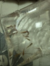 觀(guān)背青鳉淡水觀(guān)賞魚(yú)魔法魚(yú)冷水魚(yú)小錦鯉不打氧不加溫活體寵物包郵 混搭2-3cm20+2防損包含星光 曬單實(shí)拍圖