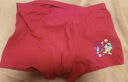 紅豆居家（Hodohome）兒童內褲男童鴻運本命年紅色短褲男孩新年喜慶棉氨短褲311 165 曬單實(shí)拍圖
