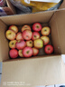 京喜加陜西洛川紅富士蘋(píng)果不打蠟帶皮吃新鮮脆甜多汁水果新鮮采摘包郵 9斤大果【含箱重】?jì)糁?斤 曬單實(shí)拍圖