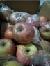 陜西延安洛川紅富士10斤裝好蘋(píng)果新鮮水果脆甜應季水果時(shí)令生鮮 帶箱9-10斤 大果 曬單實(shí)拍圖