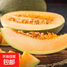 今年新果當季哈密瓜西州蜜瓜新鮮采摘水果甜瓜蜜瓜脆甜 哈密瓜帶箱5-5.5斤 曬單實(shí)拍圖