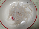 蘇城味道 銀魚(yú) 600g 冷凍淡水小銀魚(yú) 面條魚(yú)白飯魚(yú) 無(wú)骨無(wú)刺 寶寶輔食 曬單實(shí)拍圖