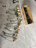 芊芊細語(yǔ)斗南基地直批發(fā)玫瑰鮮花全國速遞配送女友禮物家用水養插花家庭 艾莎玫瑰18支+2支防損 曬單實(shí)拍圖
