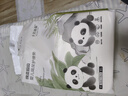 十月結晶嬰兒一次性隔尿墊160片33*45cm透氣防水?huà)雰耗驂|護理墊 熊貓寶寶 曬單實(shí)拍圖