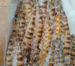 東上御品 塞拉利昂 斑節蝦 海鮮水產(chǎn) 竹節蝦 凈重2斤10-20只-源頭直發(fā) 曬單實(shí)拍圖