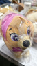汪汪隊立大功（PAW PATROL）毛絨玩具狗狗陪睡玩偶經(jīng)典款天天站姿可愛(ài)公仔男女孩生日禮物 曬單實(shí)拍圖