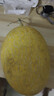 海南黃金蜜瓜哈密瓜9斤新鮮水果當季脆甜網(wǎng)紋瓜香瓜黃河蜜瓜包郵 香甜黃金蜜瓜帶箱3-4斤【凈重2.5-3斤】 曬單實(shí)拍圖