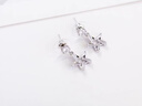 耳針女925純銀星星氣質(zhì)耳環(huán)2026年新款氣質(zhì)耳墜耳飾感夏季 星星純銀耳釘(銀色) 曬單實(shí)拍圖