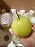 鮮友季安徽碭山青皮皇冠梨酥梨皇翠冠香梨雪梨整箱包郵 凈重8.5-9斤中大果（單果250g+） 曬單實(shí)拍圖