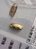 實(shí)時(shí)金【AU9999】黃金足金金豆創(chuàng  )意禮物送人送情侶禮物小金豆投資收藏 金大米1克 配收藏證書(shū)(足金9999) 曬單實(shí)拍圖