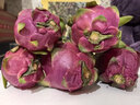 白心火龍果進(jìn)口熱帶新鮮水果紅白心火龍果健康輕食孕婦水果 5個(gè)裝 單果300g起 凈重3斤起 曬單實(shí)拍圖