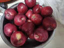 順豐可選黑卡蘋(píng)果黑鉆蘋(píng)果5斤純甜孕婦小孩黑色蘋(píng)果新鮮水果整箱M 3斤【普郵】 曬單實(shí)拍圖