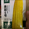 北蔬 水果玉米種子苗超甜生吃大棒苞米種籽 美甜六號水果玉米種子100g 曬單實(shí)拍圖