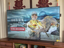海爾（Haier）電視 語(yǔ)音控制4K超高清 144HZ高刷護眼全面屏智能超薄液晶彩電智慧屏一級能效 家用平板電視機 75英寸 26年新品 8核CPU 165Hz 64G內存 曬單實(shí)拍圖