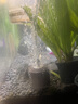 魚(yú)呼吸魚(yú)缸增氧氣泵配件 氣泡石*2個(gè) 家用水族箱加溶細化沙頭 曬單實(shí)拍圖