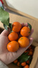 【當季爆甜】正宗廣西砂糖橘當季新鮮水果薄皮沙糖桔子蜜桔蜜橘子 砂糖橘帶箱5斤 曬單實(shí)拍圖