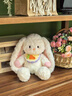 迪卡夢(mèng)（DEKAMO）可愛(ài)垂耳兔公仔小兔子玩偶毛絨玩具女生床上陪睡娃娃抱枕生日禮物 垂耳兔（手編胡蘿卜黃圍兜） 35厘米（普通包裝） 曬單實(shí)拍圖