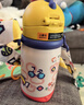 babycare兒童水杯6個(gè)月以上寶寶霸王龍不銹鋼保溫杯上學(xué)450ml-新舊款混發(fā) 曬單實(shí)拍圖
