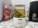 養生壺燒水壺熱水壺恒溫壺養生燒水壺煮茶壺煮茶器泡茶壺一體機全自動(dòng)玻璃保溫小家用 【奶油白】 0.6L 普通裝機械款 曬單實(shí)拍圖
