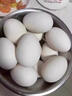 逗別三日【京東快遞】農家散養土鵝蛋新鮮超大鵝蛋孕婦高營(yíng)養現撿現發(fā) 精選大鵝蛋6枚（100g-130g/枚） 曬單實(shí)拍圖